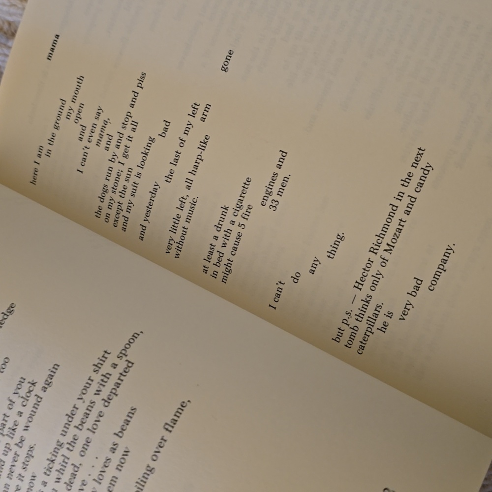 Bukowski Burning In Water Drowning In Flame Poems 1955-1973 Black Sparrow Press - Picture 7 of 7